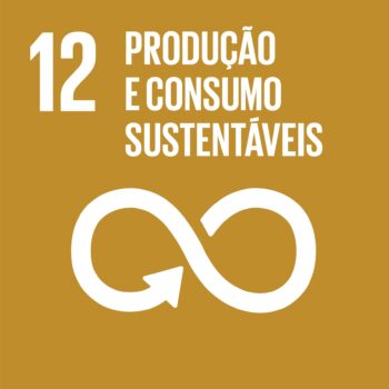 UN SDG Icon for SDG 12: Responsible Consumption and Production