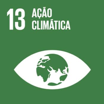 UN SDG Icon for SDG 13: Climate Action