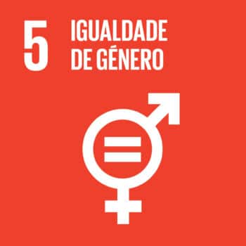 UN SDG Icon for SDG 5: Gender Equality