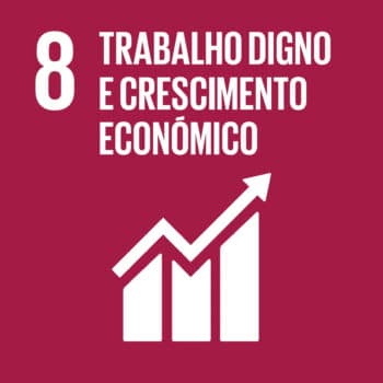 UN SDG Icon for SDG 8: Decent Work and Economic Growth